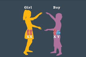 Boy or Girl: How Genetics Determine Your Baby's Gender