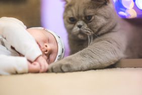 Cat sitting next to sleeping newborn baby