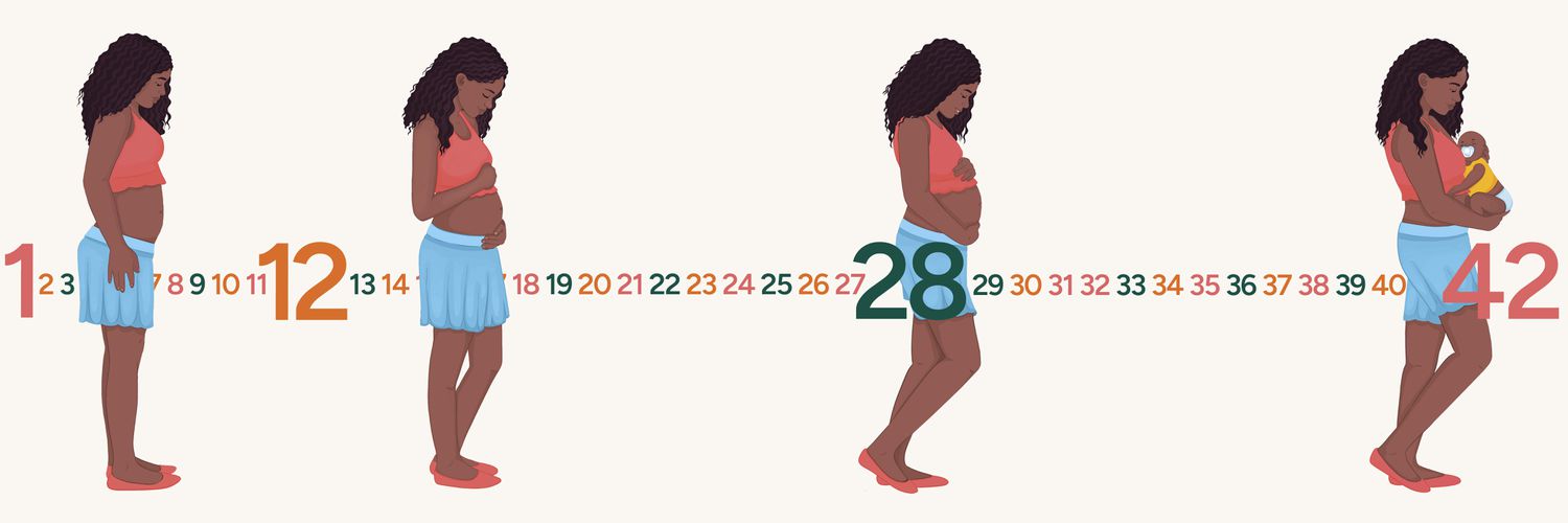 Pregnancy Journey Header 