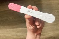 A person holding a Mosie Baby Predict Ovulation test stick