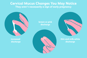 cervical mucus changes you may notice