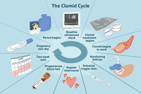 Clomid Fertility Treatment