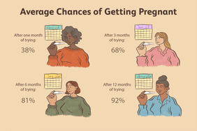 average chances of getting pregnant