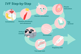 IVF Step-by-Step guide graphic 