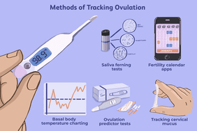 methods of tracking ovulation